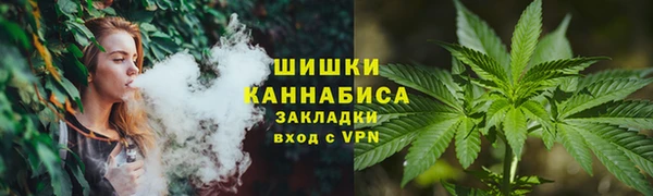 сатива Алзамай