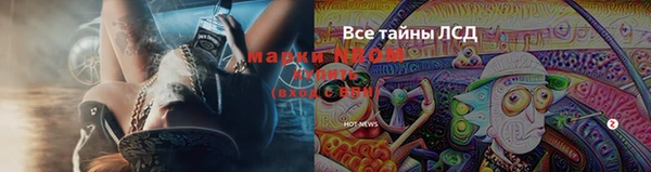 сатива Алзамай