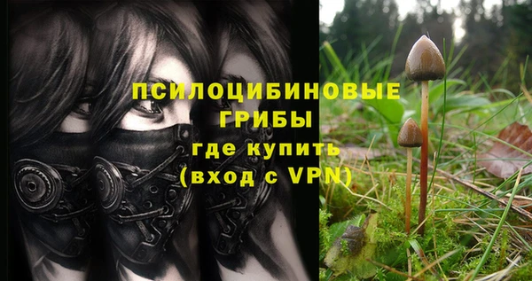сатива Алзамай