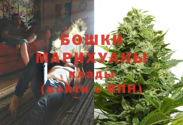 PSILOCYBIN Абаза
