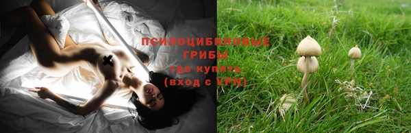 PSILOCYBIN Абаза