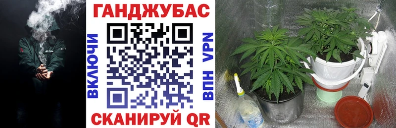 Марихуана план  где купить наркоту  Таштагол 